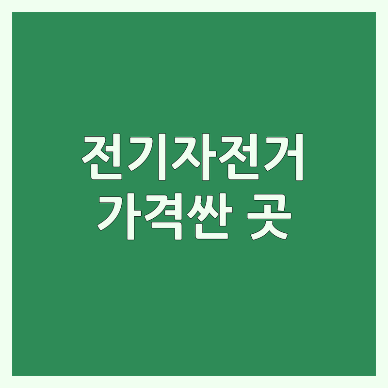 제주 전기자전거 렌탈 저렴한 곳 가격싼 곳 업체 추천 | 제주도 전기스쿠터 대여 비용 가격 잘하는 곳 | 애월 월정 함덕 신창풍차해안도로 자전거 여행