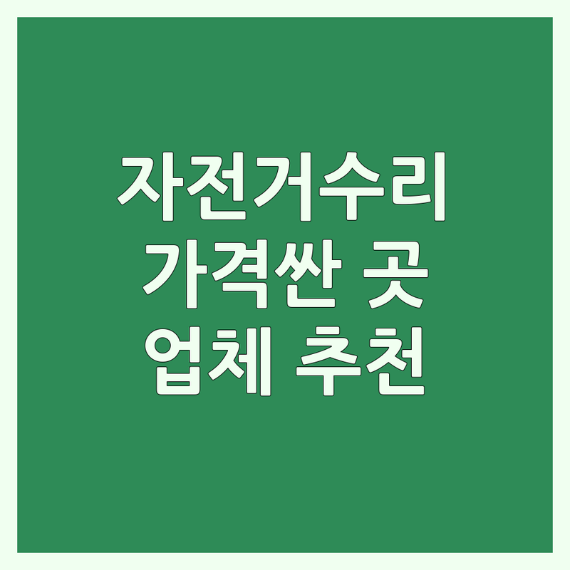 서울 자전거수리 저렴한 곳 가격싼 곳 업체 추천 | 자전거 정비 비용 가격 잘하는 곳 | 로드바이크 생활차 픽시 산악자전거 수리 | 휠빌딩 오버홀 세척 점검 튜닝 | 무상수거 이동수리 방문수리 주차가능