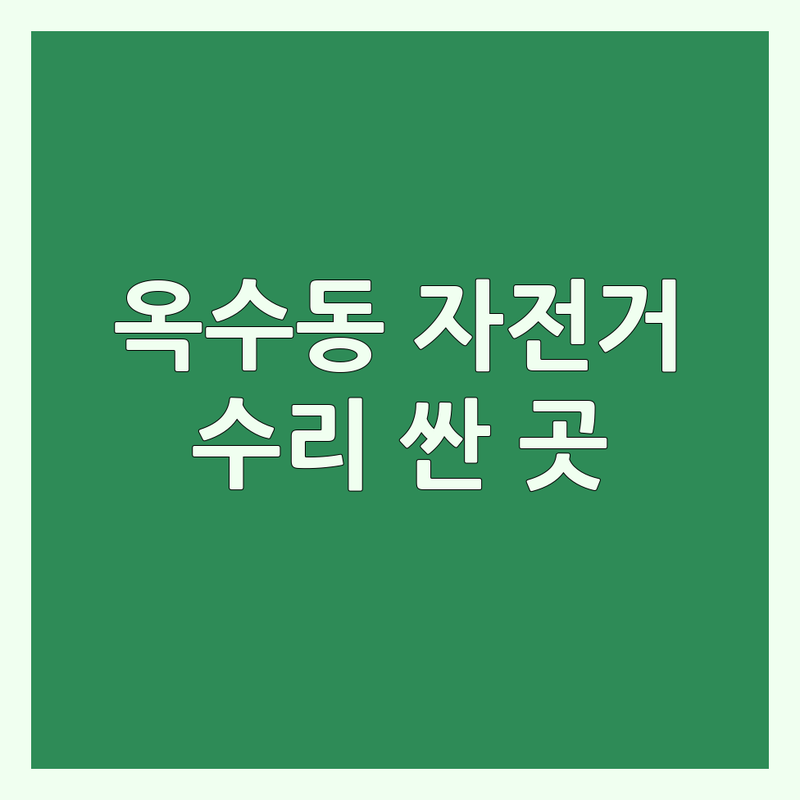성동구 옥수동 자전거수리 저렴한 곳 가격싼 곳 업체 추천 | 자전거 정비 비용 가격 잘하는 곳 | 펑크 수리 변속기 조정 브레이크 수리 | 로드바이크 생활자전거 전기자전거 수리 | 당일 수리 방문 수리 오버홀