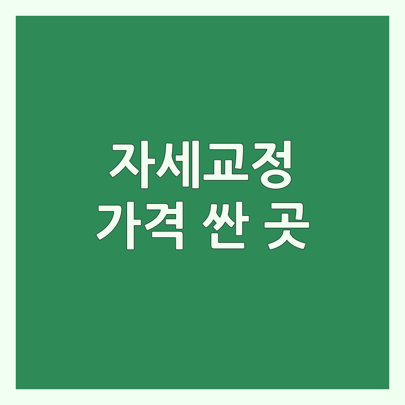 [서울/인천] 자전거자세교정 저렴한 곳 가격싼 곳 업체 추천 | 자전거 피팅 비용 가격 잘하는 곳 | 척추교정 코어강화 라이딩자세 | 로라방 강습 수리 | 초보자 숙련자