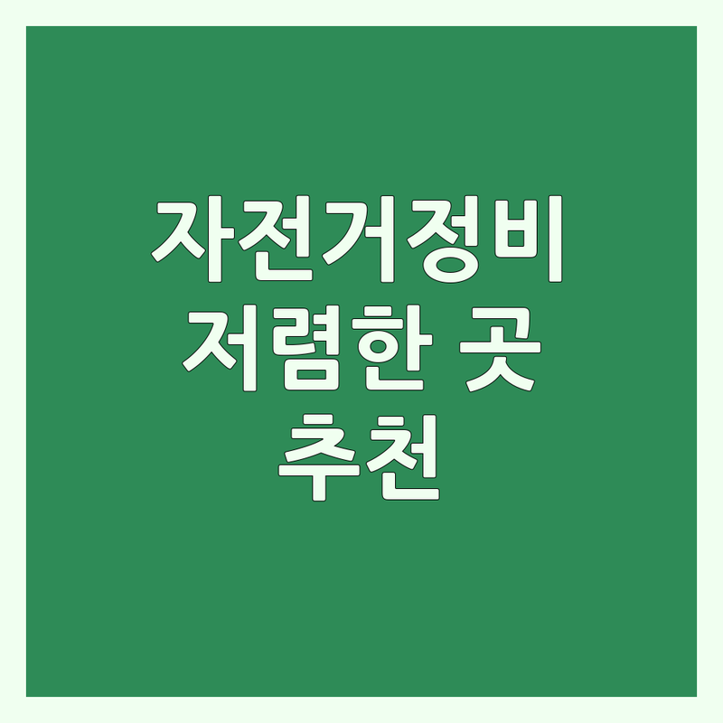 서울 자전거정비 저렴한 곳 업체 추천 | 자전거 수리 비용 가격 잘하는 곳 | 로드 MTB 전기자전거 분해세차 | 자전거 용품 커스텀 피팅 | 국토종주 대비 점검