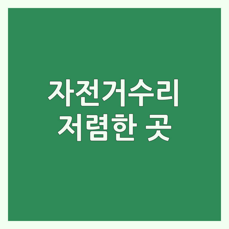 서울 자전거기술 저렴한 곳 가격싼 곳 업체 추천 | 자전거수리 비용 가격 잘하는 곳 | 자전거정비 자전거교육 따릉이 | 자전거학원 자전거대여 | 자전거정비기술