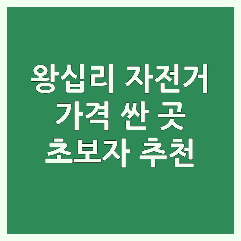 성동구 왕십리 상왕십리 자전거 저렴한 곳 가격싼 곳 업체 추천 | 자전거 구매 수리 비용 가격 잘하는 곳 | 따릉이 대여 로드 MTB 미니벨로 전기자전거 | 자전거 악세서리 A/S | 입문용 자전거 초보자 추천