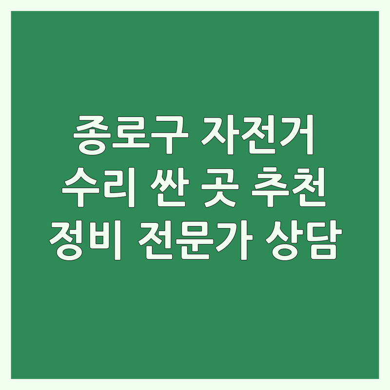 종로구 자전거수리 저렴한 곳 가격싼 곳 업체 추천 | 자전거 수리 비용 가격 잘하는 곳 | 펑크 수리 체인 교체 용접 | 카본 수리 정비 세차 | 자전거 정비 전문가 상담