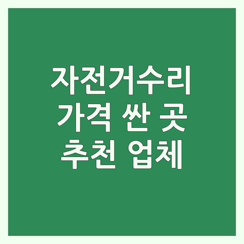 서울 동대문구 신설동 마포구 종로구 자전거수리 저렴한 곳 가격싼 곳 업체 추천 | 자전거정비 비용 가격 잘하는 곳 | 로드 MTB 하이브리드 전기자전거 수리 펑크 휠교정 변속기 브레이크 정비 | 자전거 세차 분해정비 출장수리 | 자전거 구매 조립 상담 중고 자전거