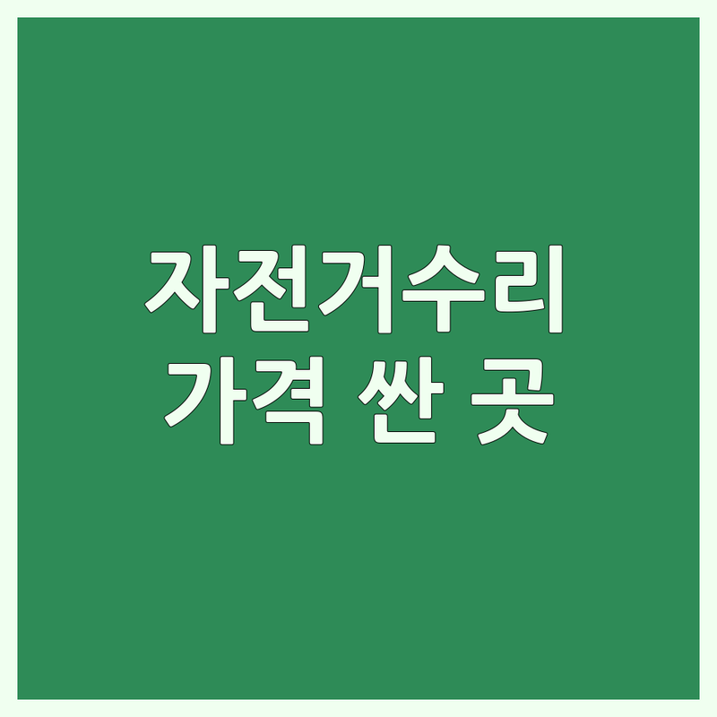 서울 자전거수리 저렴한 곳 가격싼 곳 업체 추천 | 자전거 정비 비용 가격 잘하는 곳 | 로드바이크 픽시 카본 수리 | 타이어 펑크 브레이크 기어 조정 | 무료상담 당일수리 전문미케닉