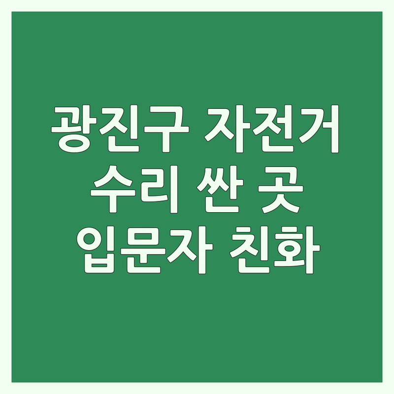 서울 광진구 자전거정비 저렴한 곳 가격싼 곳 업체 추천 | 자전거수리 비용 가격 잘하는 곳 | 생활자전거 로드자전거 MTB | 스팀세차 출장정비 | 입문자 친화 매디슨미니벨로
